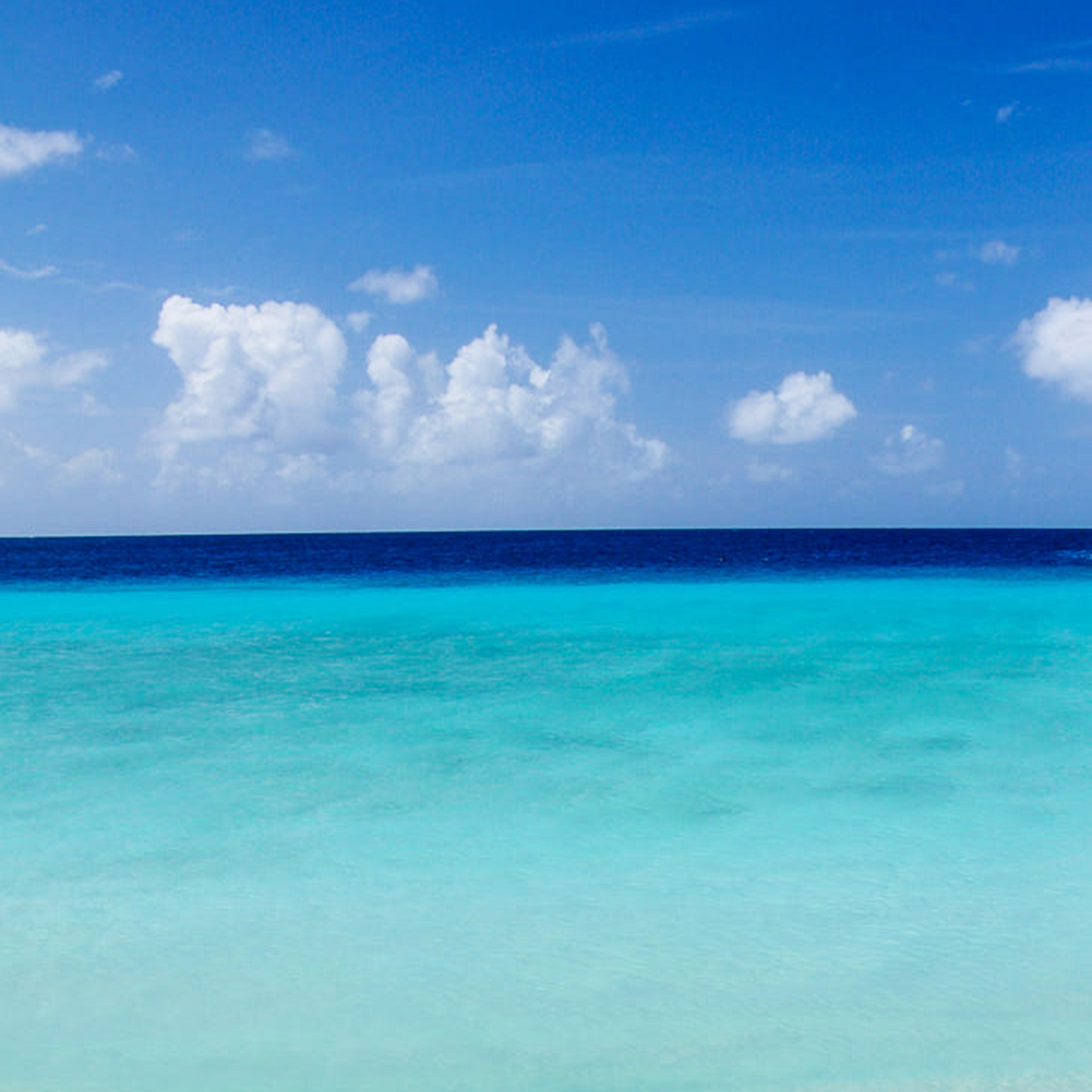 Azure Horizon Fragrance Oil