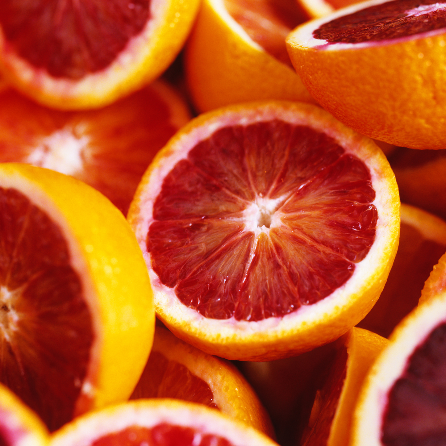 Citrus Thyme Harmony Fragrance Oil