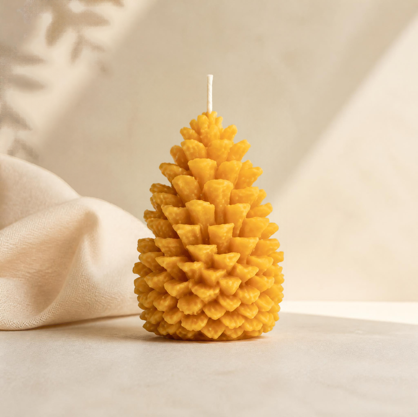 Beeswax Candle Making Workshop (16+) | VICTORIA, BC