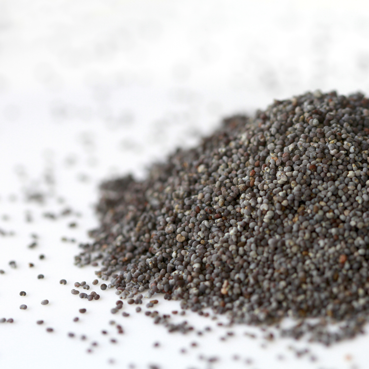 Poppy Seeds