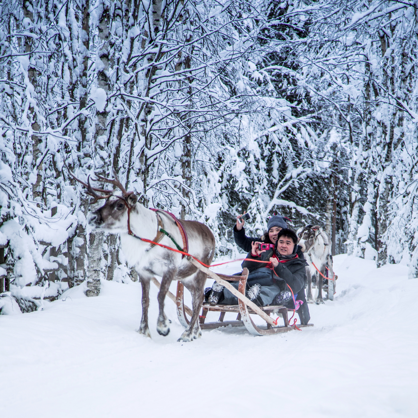 Sleigh Ride Fragrance Oil