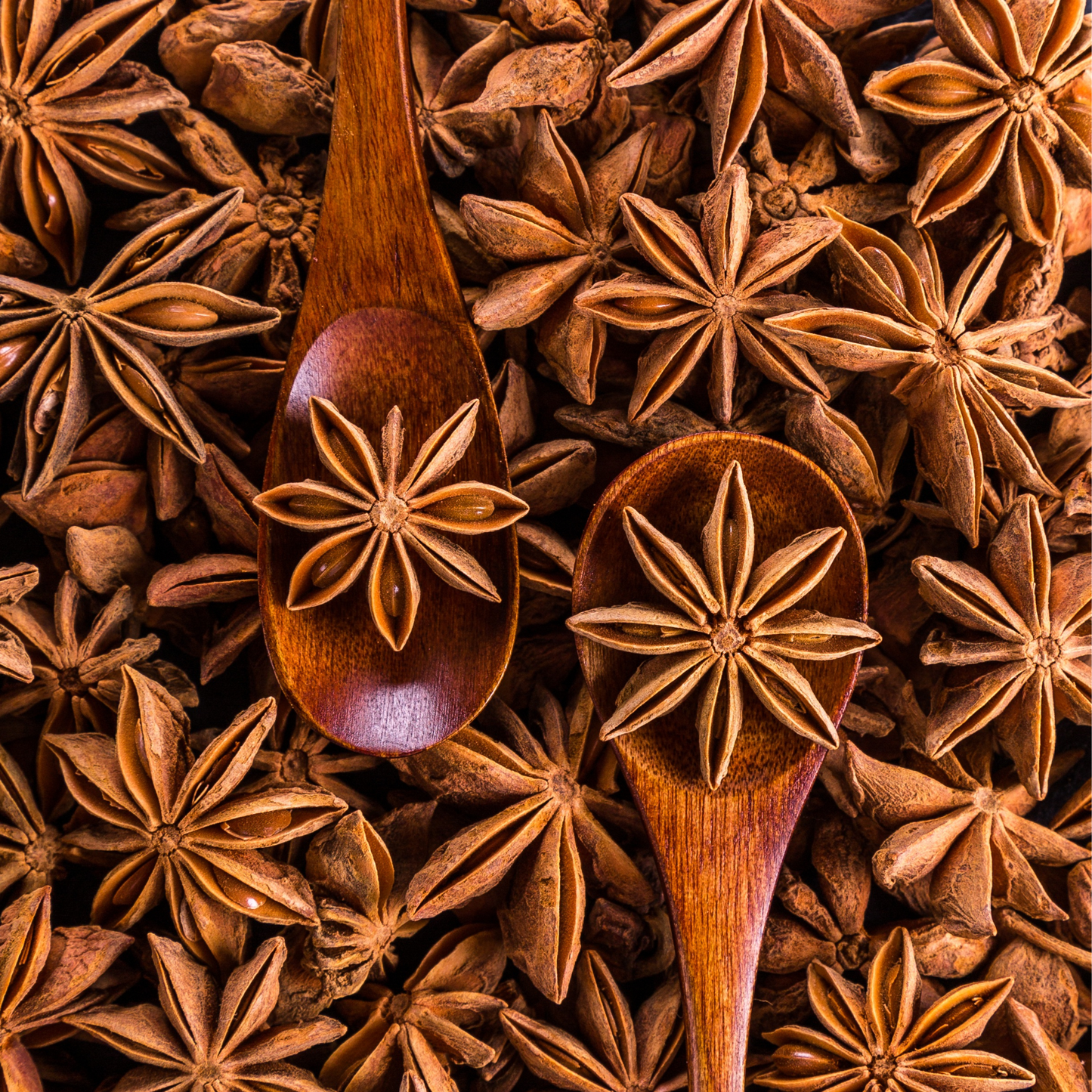 Star Anise Essential Oil
