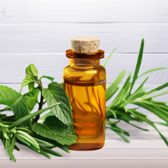 Tea Tree & Mint Fragrance Oil