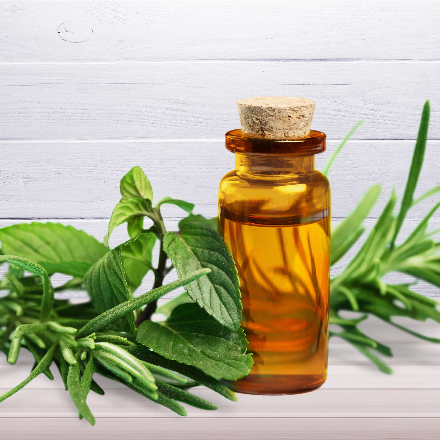 Tea Tree & Mint Essential Oil Blend