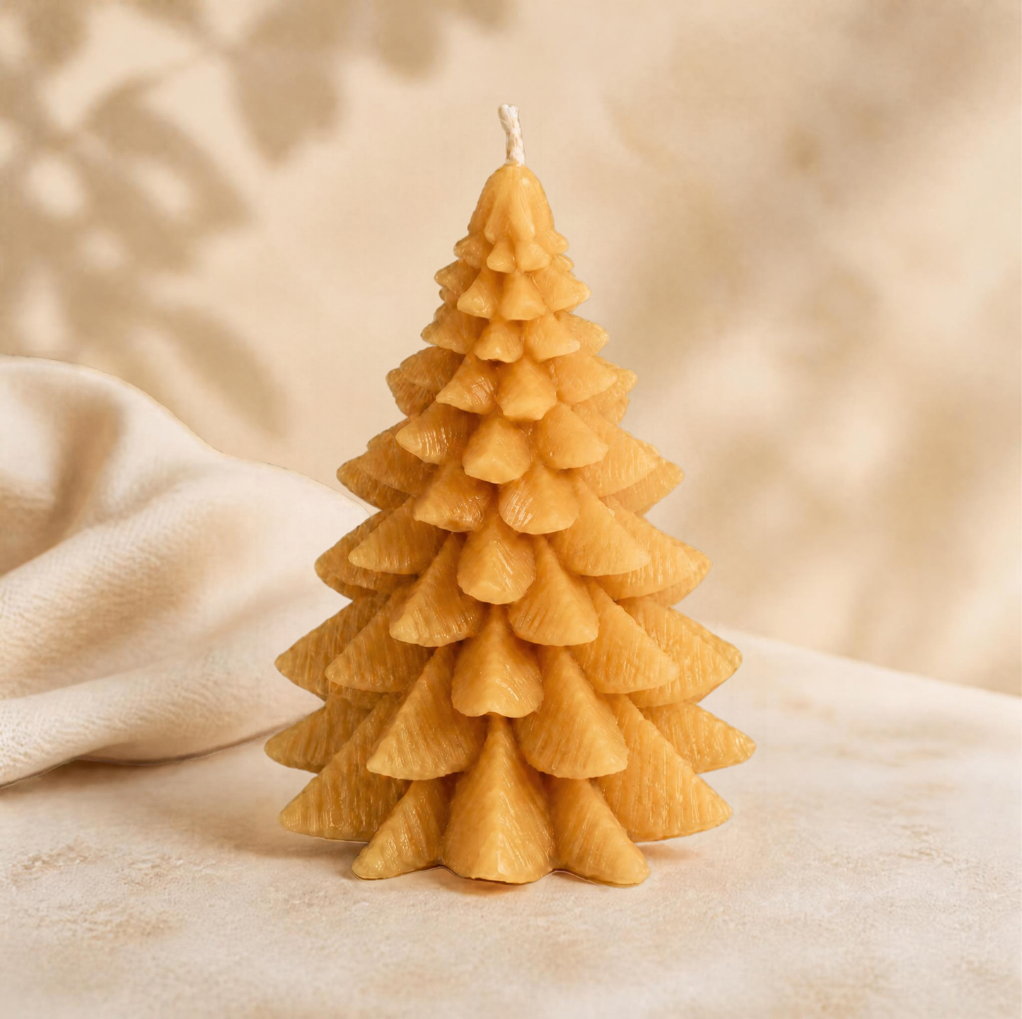 Beeswax Candle Making Workshop (16+) | VICTORIA, BC