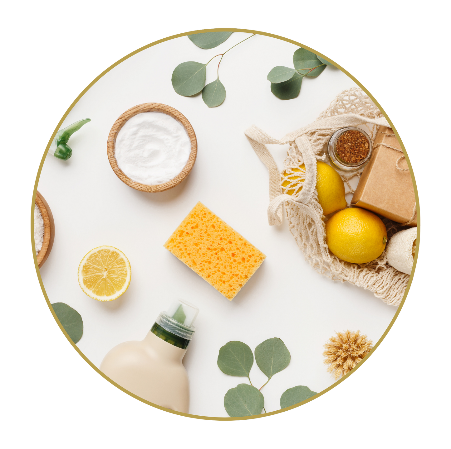 Natural household cleaners workshop Victoria BC