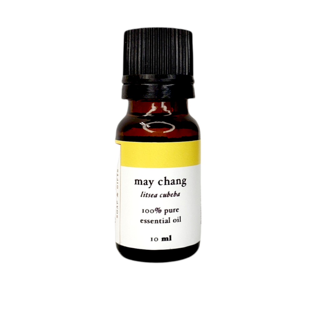 10 ml bottle of may chang essential oil 